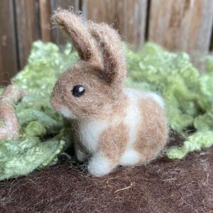 Mini Hase