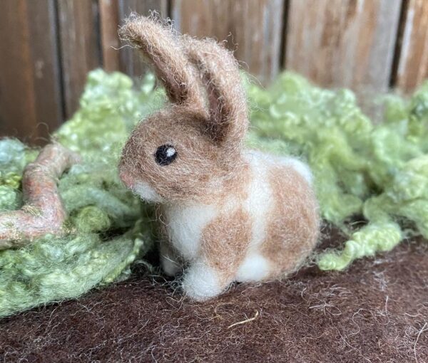 Mini Hase