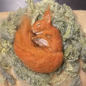 Schlafendes Eichhörnchen