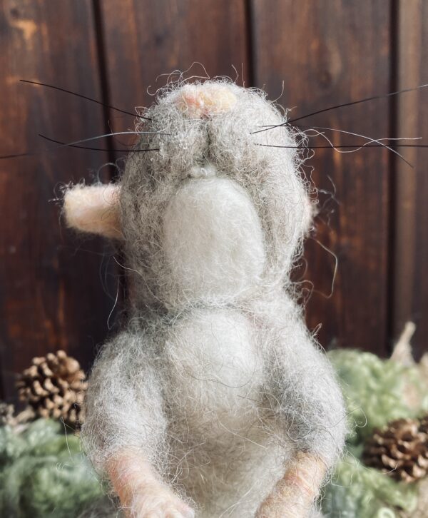 Grosse Maus – Bild 2