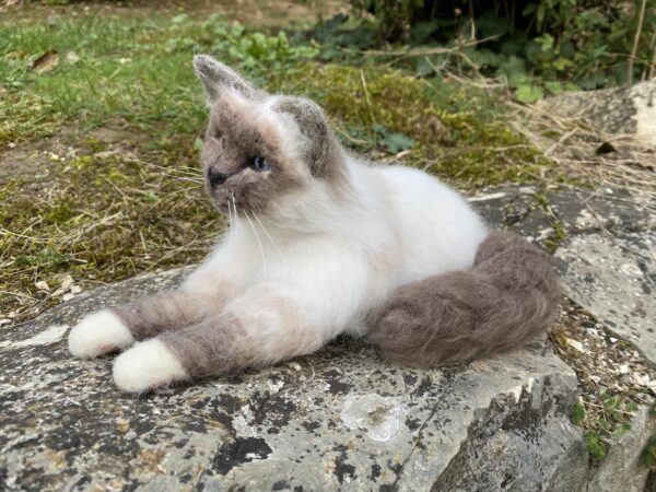 Katze lebensecht – Bild 2