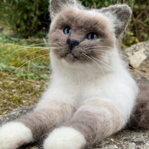 Katze lebensecht