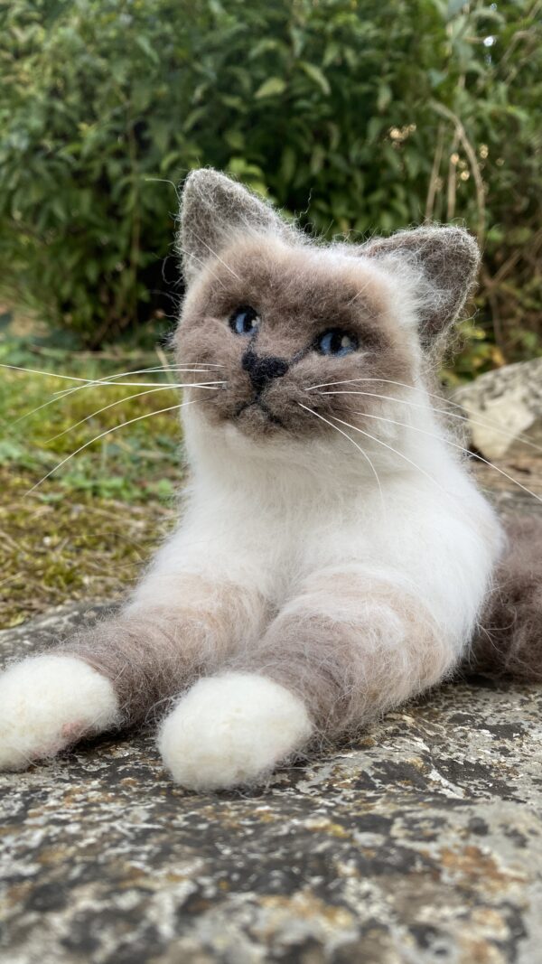 Katze lebensecht