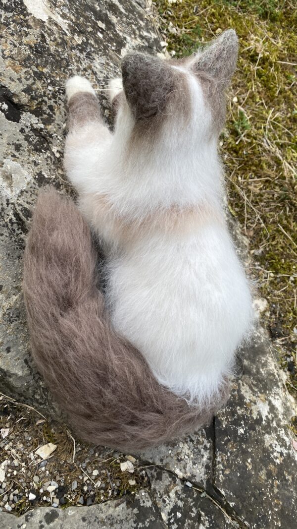 Katze lebensecht – Bild 3