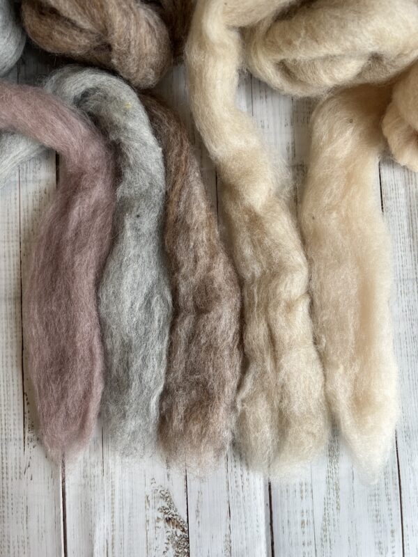Corriedale kardiert Soft Collection – Bild 3