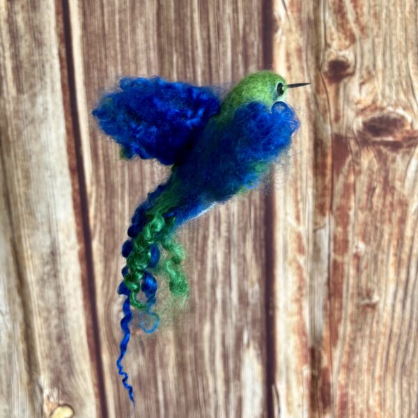 Kolibri – Bild 2