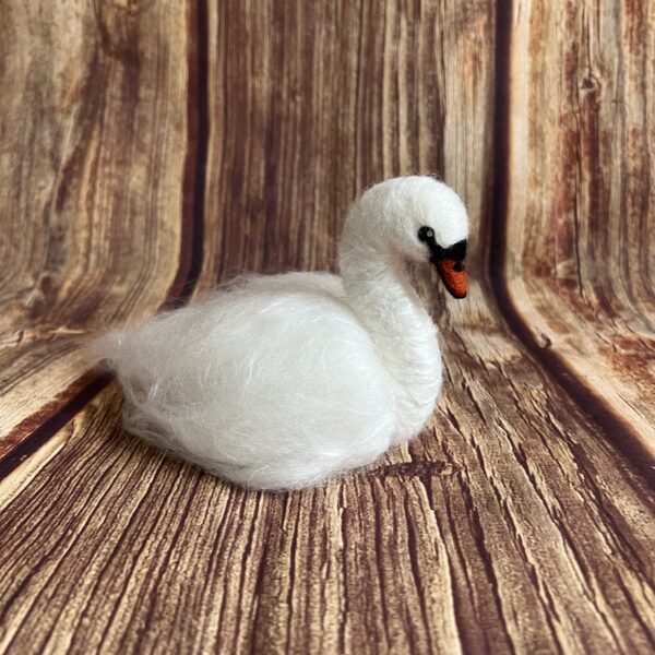 Schwan – Bild 2