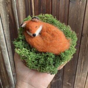 Schlafender Fuchs