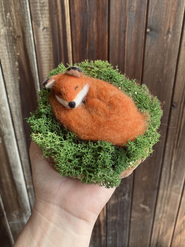 Schlafender Fuchs