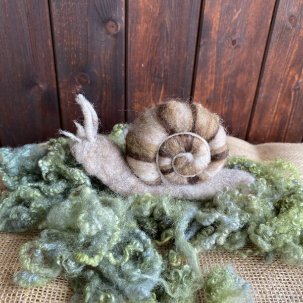 Schnecke