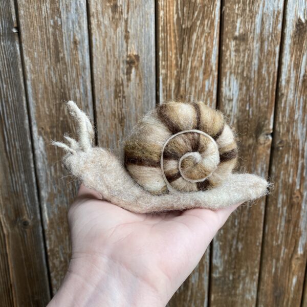 Schnecke – Bild 2