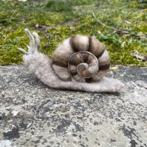 Schnecke